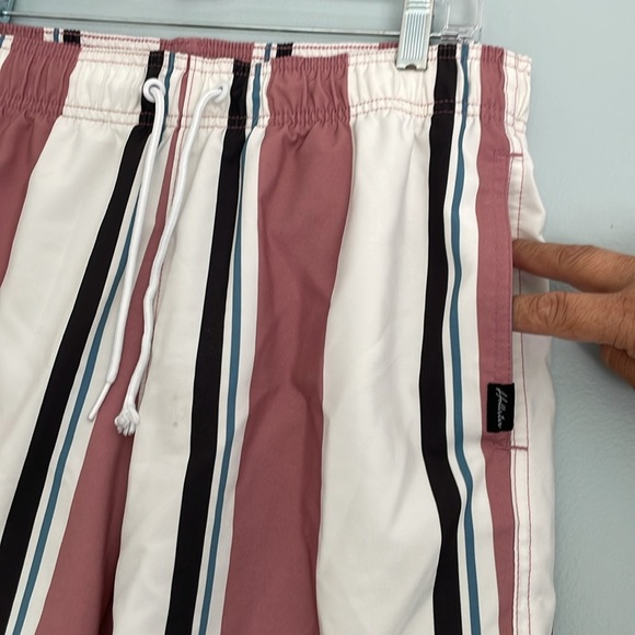 Hollister  Eleavted Essentials Stripes Swimming Shorts Sz M - Picture 5 of 10